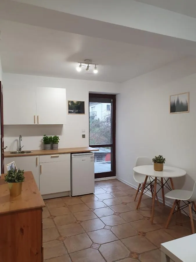 Studio Zubrova Apartment Gdansk