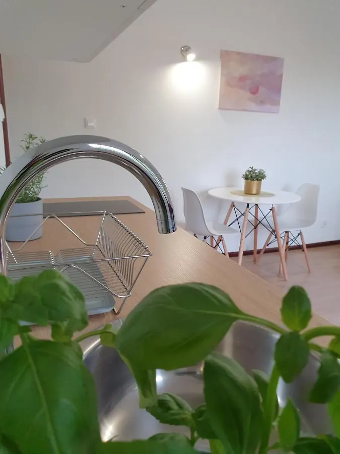 Studio Zubrova Apartment Gdansk Poland